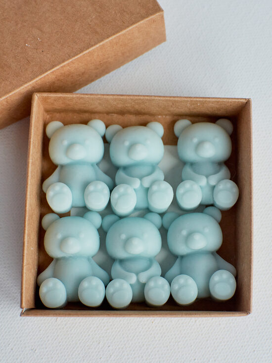 Sojų vaško tirpukai Meškiukai - „Cinamonas ir prieskoniai“